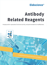 Antibody Related Reagents (2025)